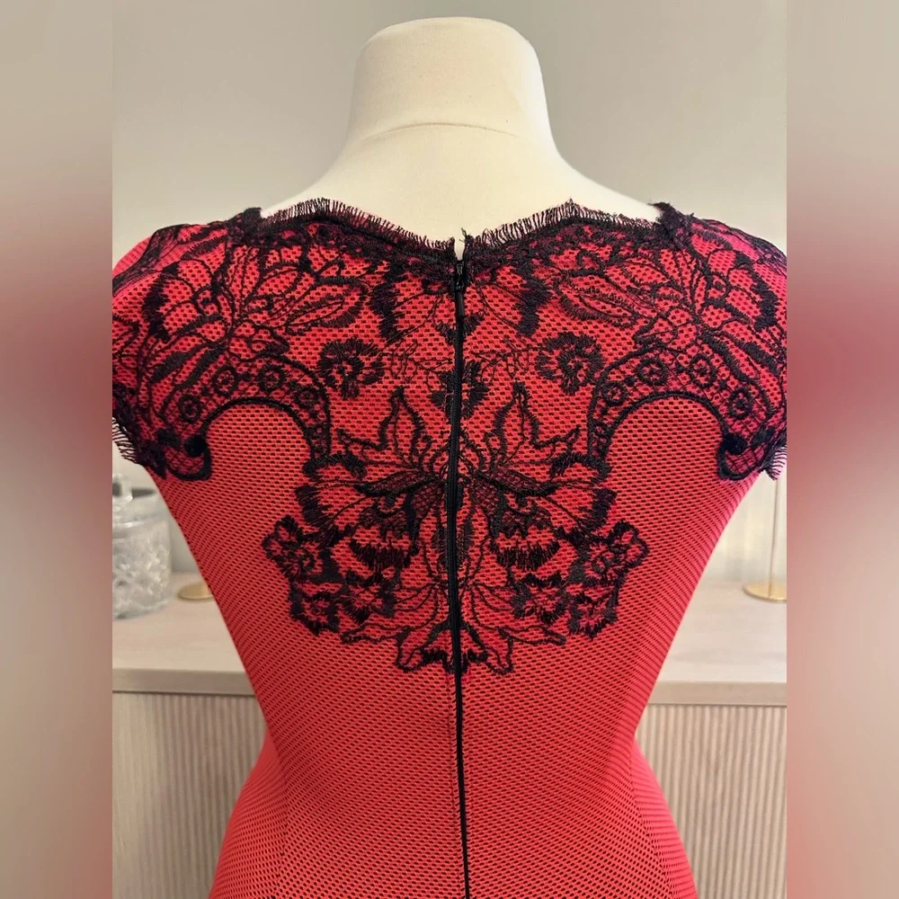 Tadashi‎ Shoji Lace Dress